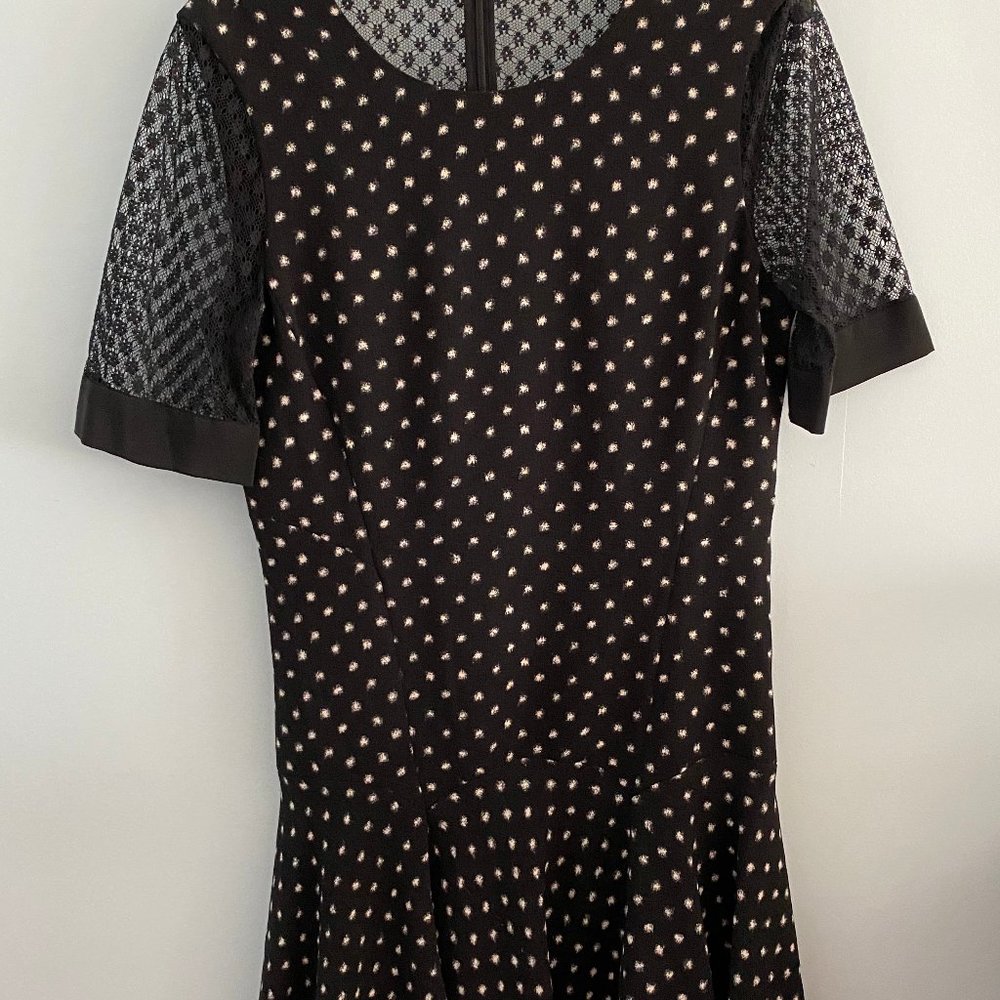 Rebecca Taylor Drop Waist Lace Sleeve Dress